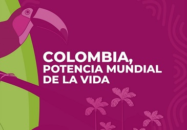 Noticia principal
