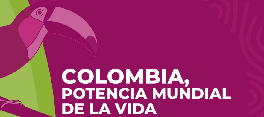 CNP DNP PLAN DE DESARROLLO Colombia potencia mundial de la vida VPC.png