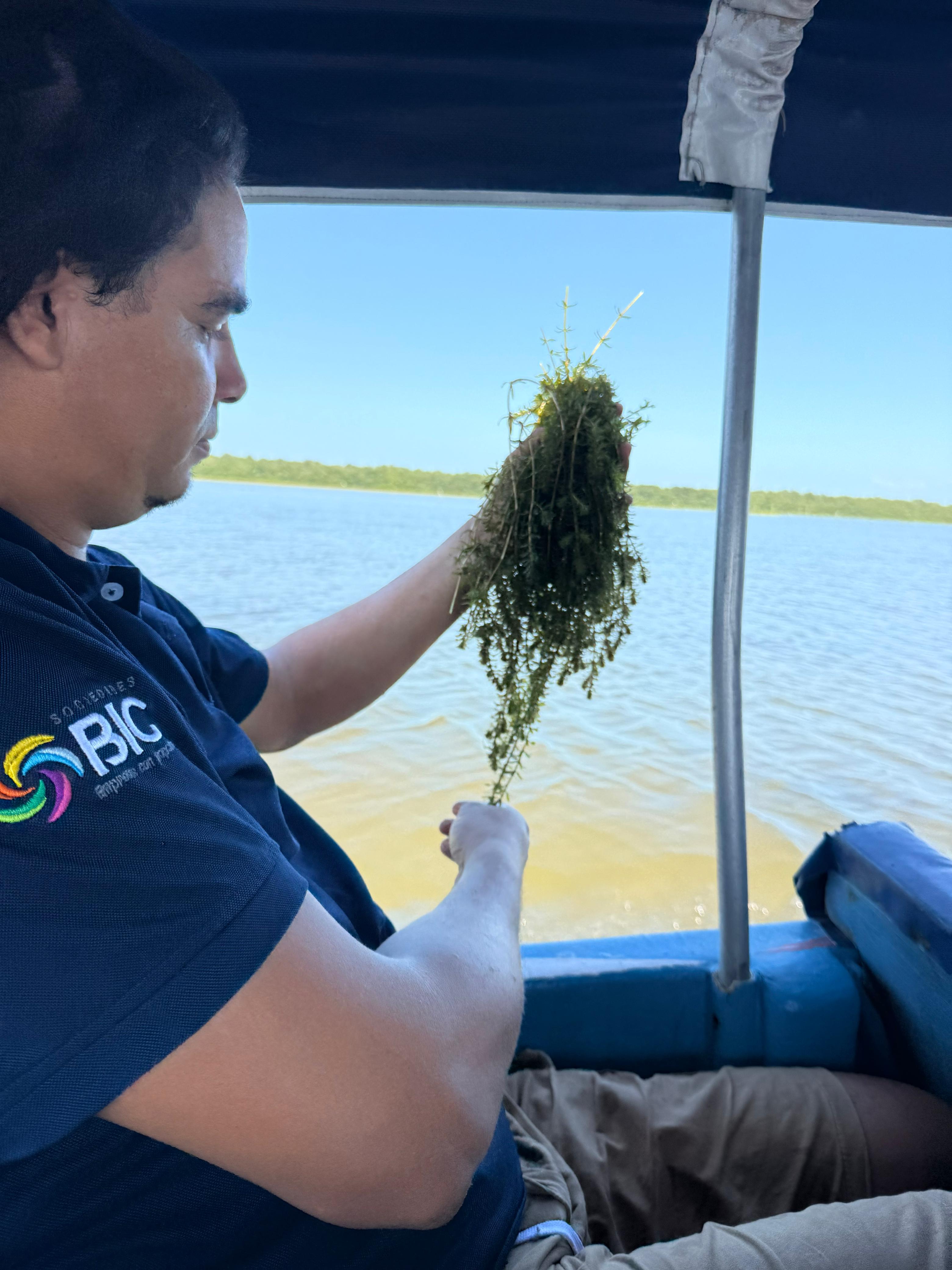 WhatsApp Image 2026-02-12 at 15.56.28.jpeg