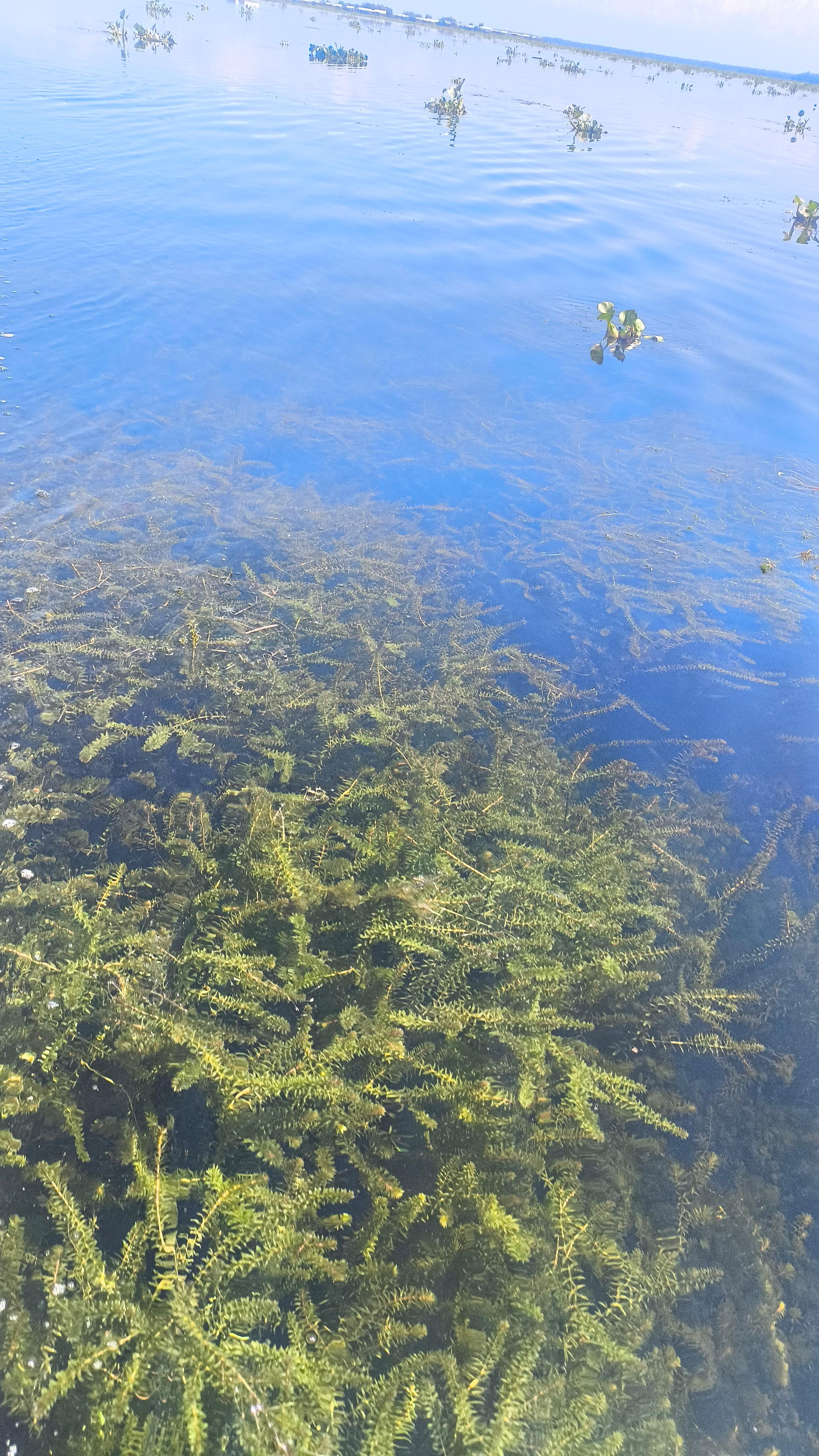 Consejo Nacional de Planeación advierte crisis ambiental y social en la Ciénaga Grande de Santa Marta